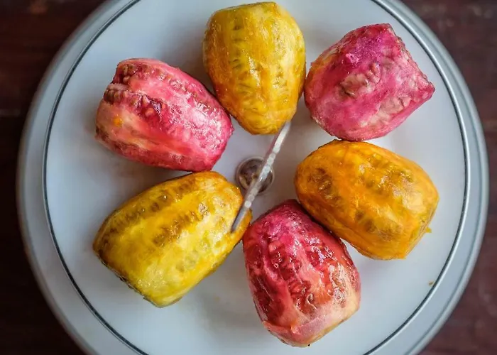 Nocleg ze śniadaniem Saint Antonio Maroni