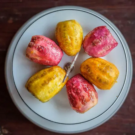 Bed & Breakfast Saint Antonio Maroni